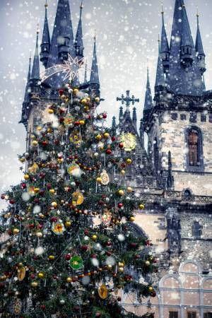 Magical Christmas tree at the Old square in Prague
