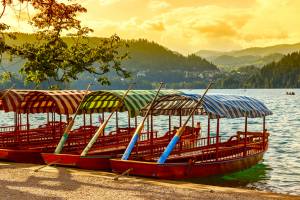 Pletna boats on lake Bled