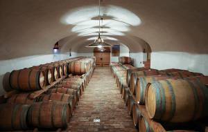Wine Cellar Goriska Brda