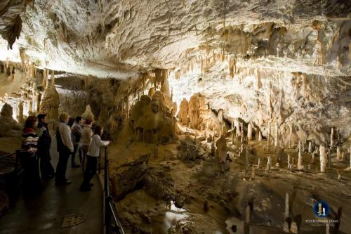 Postojna Cave, Red Hall - Slovenia